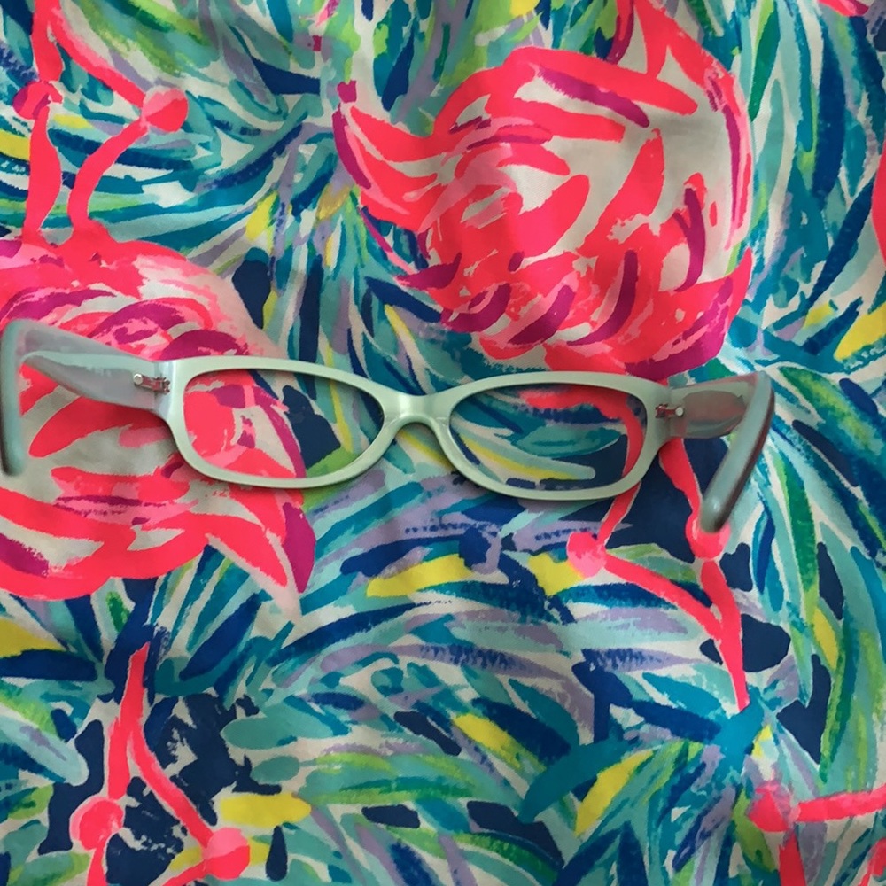 Dkny Tortoise Shell & Turquoise Frames - image 8